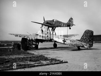 Il Mistel era una configurazione aeronautica composita sviluppata in Germania durante le ultime fasi della seconda guerra mondiale. Comprendeva un piccolo aereo di controllo pilotato montato sopra un grande drone che trasportava esplosivi, il Mistel. Il più riuscito utilizzò un bombardiere Junkers Ju 88 modificato come Mistel, con l'intero vano dell'equipaggio posizionato sul naso sostituito da un naso appositamente progettato riempito con un grande carico di esplosivi, formato in una carica sagomata. Il componente superiore è un Focke-Wulf FW 190. Circa 250 Mistel di varie combinazioni furono costruiti durante la guerra, ma incontrarono un successo limitato. Foto Stock