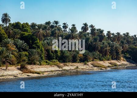 Vivi l'incredibile contrasto tra le lussureggianti rive del fiume e le sabbie dorate del deserto con una crociera sul Nilo. Osserva gli antichi templi e la vivace vita locale. Foto Stock