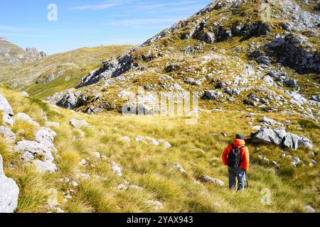 Un viaggiatore singolo con zaino e bastoni da trekking cammina lungo una collina erbosa in una giornata di sole autunno. Un uomo con una giacca brillante durante un'escursione Foto Stock