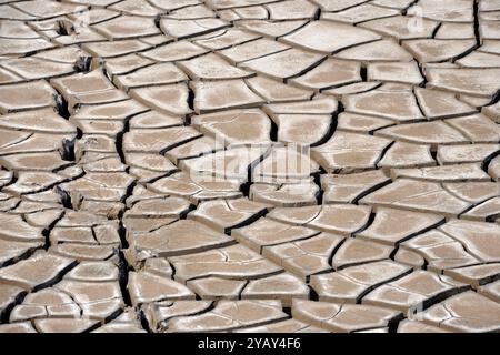 India, Gujarat, deserto Lothal circostante Foto Stock