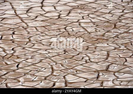 India, Gujarat, deserto Lothal circostante Foto Stock