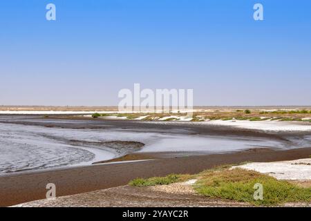 India, Gujarat, deserto Lothal circostante Foto Stock