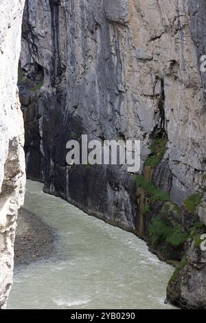 Aare Gorge Aareschlucht Svizzera agosto 2024 Foto Stock