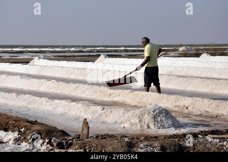 India, Gujarat, Rann di Kutch, soluzione salina, lavoratori Foto Stock