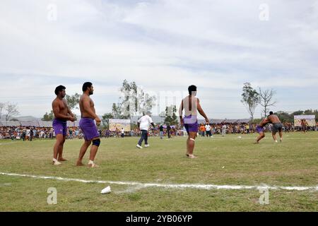 India, Punjab, Anadphur, beffandosi combattimenti Foto Stock