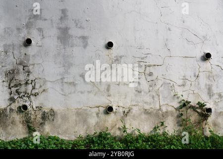 Una parete di cemento intemprata con incrinature visibili e quattro fori di drenaggio, circondata da fogliame verde alla base. Foto Stock