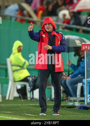 Cordoba, Spagna. 15 ottobre 2024. L'allenatore spagnolo Luis de la Fuente durante la partita di UEFA Nations League tra Spagna e Serbia giocata allo stadio Nuevo Arcangel il 15 ottobre 2024 a Cordoba, in Spagna. (Foto di Antonio Pozo/PRESSINPHOTO) credito: PRESSINPHOTO SPORTS AGENCY/Alamy Live News Foto Stock