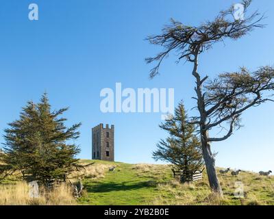 Kinpurney Hill, torre di osservazione vicino a Newtyle, Angus, Scozia Foto Stock