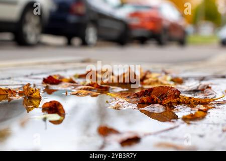 Una grossa pozza di acqua limpida contenente diverse foglie che galleggiano sulla sua superficie, con varie auto parcheggiate sullo sfondo della scena Foto Stock