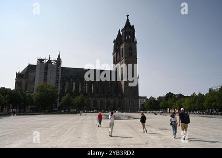 Magdeburgo, Germania - 23 agosto 2024: Cattedrale di Magdeburgo, cattedrale dei Santi Maurizio e Caterina (Magdeburger Dom) a Magdeburgo Foto Stock