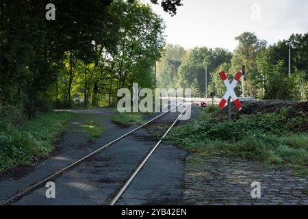 Un binario ferroviario attraversa un sentiero nella foresta e passa attraverso una croce di andreas. Foto Stock