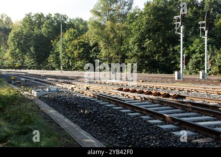 Due binari ferroviari corrono paralleli l'uno all'altro e conducono attraverso un corridoio nella foresta. Foto Stock