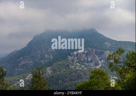 Uno spesso strato di nuvole copre la cima di una montagna circondata da fitti alberi, creando un'atmosfera tranquilla e misteriosa nella foresta. Foto Stock