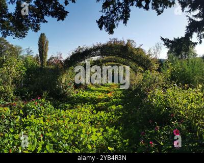 Il giardino di Monet a Giverny, in Normandia, in Francia, in un pomeriggio di ottobre. Foto Stock