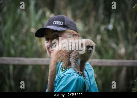 Donna con una scimmia lanosa marrone a spalla nell'Amazzonia peruviana Foto Stock