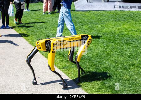 Sydney, Australia. 17 ottobre 2024. SXSW Sydney. Nella foto: Un tipo di animale domestico robot viene mostrato alle persone del Tumbalong Park. Crediti: Richard Milnes/Alamy Live News Foto Stock