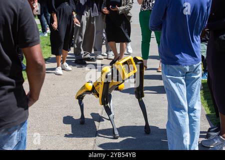 Sydney, Australia. 17 ottobre 2024. SXSW Sydney. Nella foto: Un tipo di animale domestico robot viene mostrato alle persone del Tumbalong Park. Crediti: Richard Milnes/Alamy Live News Foto Stock