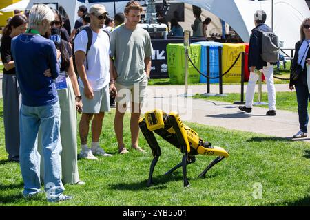 Sydney, Australia. 17 ottobre 2024. SXSW Sydney. Nella foto: Un tipo di animale domestico robot viene mostrato alle persone del Tumbalong Park. Crediti: Richard Milnes/Alamy Live News Foto Stock