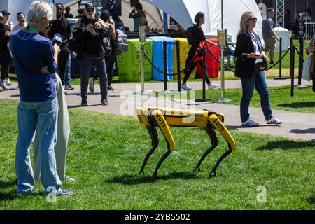 Sydney, Australia. 17 ottobre 2024. SXSW Sydney. Nella foto: Un tipo di animale domestico robot viene mostrato alle persone del Tumbalong Park. Crediti: Richard Milnes/Alamy Live News Foto Stock