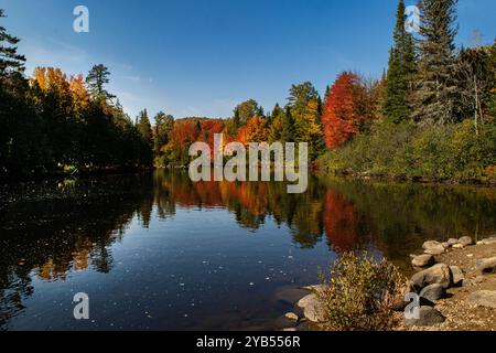 Tranquillità e colori autunnali lungo il fiume North, Quebec. Foto Stock