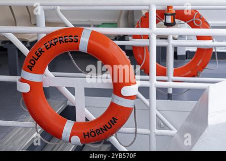 Salvagente, barca per escursioni Adler Express, Mare di Wadden, Frisia settentrionale, Schleswig-Holstein, Germania, Europa Foto Stock