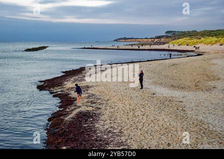 Spiaggia del Mar Baltico, passeggiate sulla costa del Mar Baltico sulla spiaggia di Wustrow alla luce della sera, atmosfera serale, località balneare Baltica di Wustrow, Fischland-Darss- Foto Stock