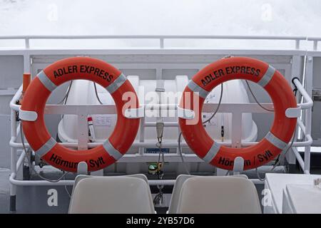 Salvagente, barca per escursioni Adler Express, Mare di Wadden, Frisia settentrionale, Schleswig-Holstein, Germania, Europa Foto Stock