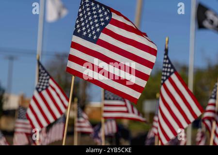 Durante il Veterans Memorial Weekend, un gruppo di bandiere americane sventola nella brezza Foto Stock