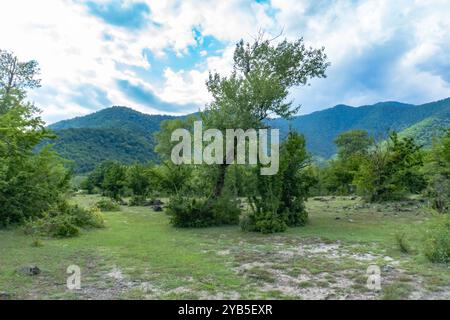 Paesaggi mozzafiato dalle grandi montagne caucasiche. Oguz, Azerbaigian. Estate, 2024. Foto Stock