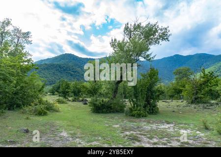 Paesaggi mozzafiato dalle grandi montagne caucasiche. Oguz, Azerbaigian. Estate, 2024. Foto Stock