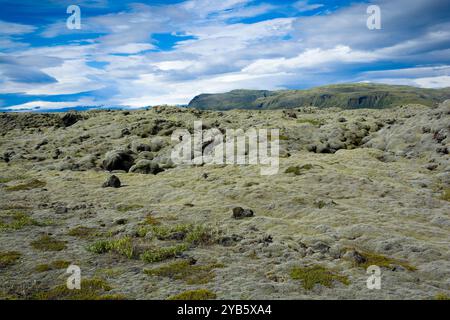 Vista del campo di lava di Eldhraun nel sud degli altopiani islandesi Foto Stock