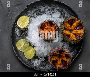 Pesce crudo, ricci di mare esposti con caviale su ghiaccio su un piatto di mica nera su sfondo scuro. Foto di alta qualità Foto Stock