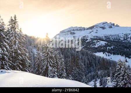 Il tramonto invernale illumina la foresta innevata e le montagne dolomitiche in Italia. La luce soffusa della sera esalta la bellezza tranquilla delle montagne Foto Stock