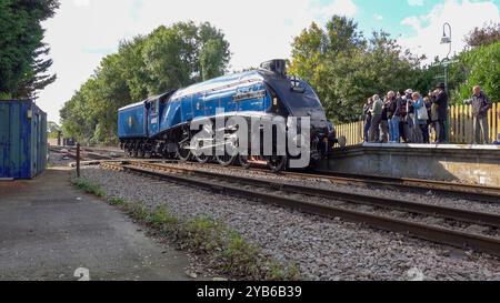 Locomotiva A4 Sir Nigel Gresley alla stazione di East Grinstead sulla ferrovia Bluebell con appassionati ammiratori. Foto Stock