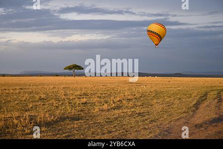 La mongolfiera sta volando nel cielo blu della sera sopra la savana africana. Kenya. Foto Stock