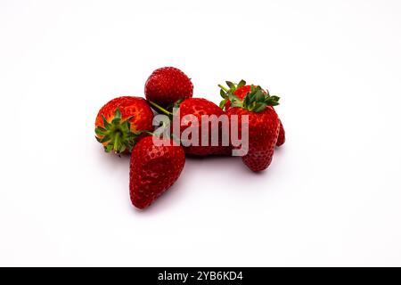 Fragole mature disposte su una superficie bianca Foto Stock
