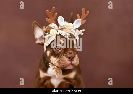 Cucciolo Bulldog francese Mocca Orange Tan con corna di renne di Natale davanti a sfondo marrone Foto Stock