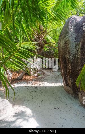 Sentiero sabbioso circondato da palme e massi di granito nelle Seychelles, Africa Foto Stock