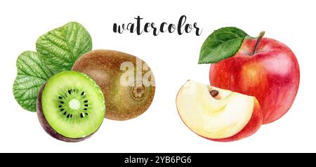 Acquerello Kiwi dipinto a mano e illustrazione botanica della mela rossa Foto Stock