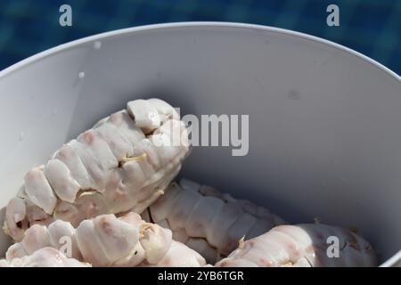 polpa di fagioli di cacao freschi su un piatto Foto Stock