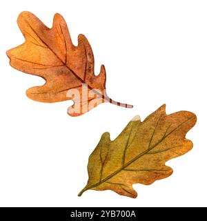 Foglie di quercia. Illustrazione di un elegante acquerello botanico autunnale. Foglia di quercia isolata su sfondo bianco. Collezione stagionale di clipart dipinta a mano per Foto Stock
