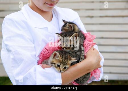 Un veterinario tiene gattini tra le braccia. Foto Stock