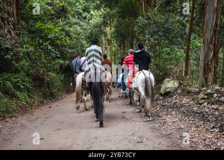 Gruppo di cavalieri a Combeima Canyon, Ibague, Colombia Foto Stock