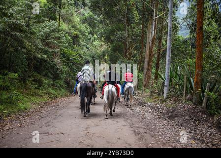 Gruppo di cavalieri a Combeima Canyon, Ibague, Colombia Foto Stock