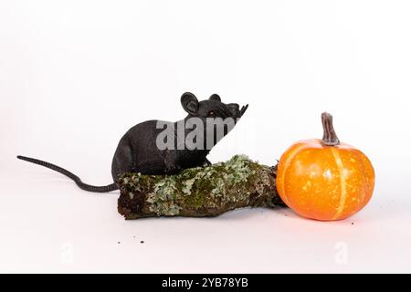 Piccolo topo nero di plastica con lunga coda e baffi su un pezzo di legno ammuffito su uno sfondo bianco con spazio di copia, giornata mondiale dei topi Foto Stock