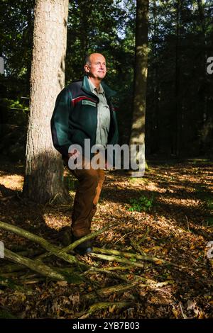 Buchholz, Germania. 17 ottobre 2024. Chris Freise, direttore delle foreste statali Schleswig-Holstein, si trova nella foresta. La stagione della raccolta del faggio è iniziata nello Schleswig-Holstein. Crediti: Frank Molter/dpa/Alamy Live News Foto Stock