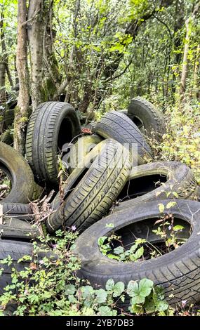 vecchi pneumatici per veicoli in disuso, scaricati illegalmente, concetto di volo, ambiente, inquinamento Foto Stock