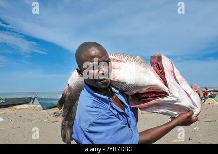 Un pescatore con il suo pescato a Ksensero, cittadina di pescatori sulle rive del lago Victoria - Uganda Foto Stock