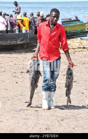 Un pescatore con il suo pescato a Ksensero, cittadina di pescatori sulle rive del lago Victoria - Uganda Foto Stock