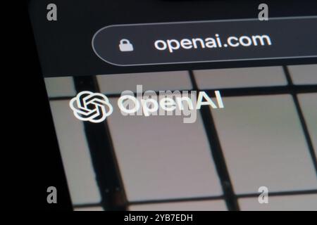 Firma del logo del marchio dell'azienda OpenAI sul sito Web ufficiale Foto Stock